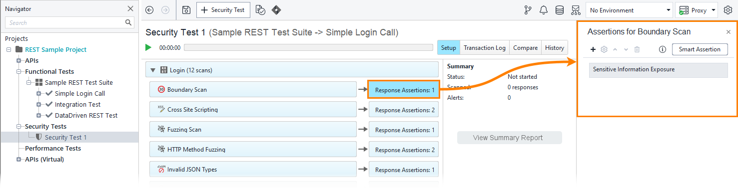 Security tests: The Assertions panel